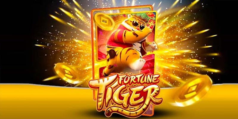 Quem é o Fortune Tiger 556bet.Com